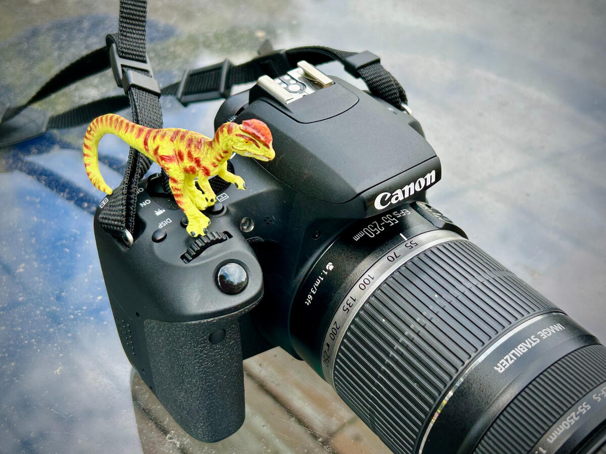 A green Dilophosaurus with brown spots stands on my Canon Rebel T7i camera which is on top of a glass table. It is equipped with a medium length 250mm lens.