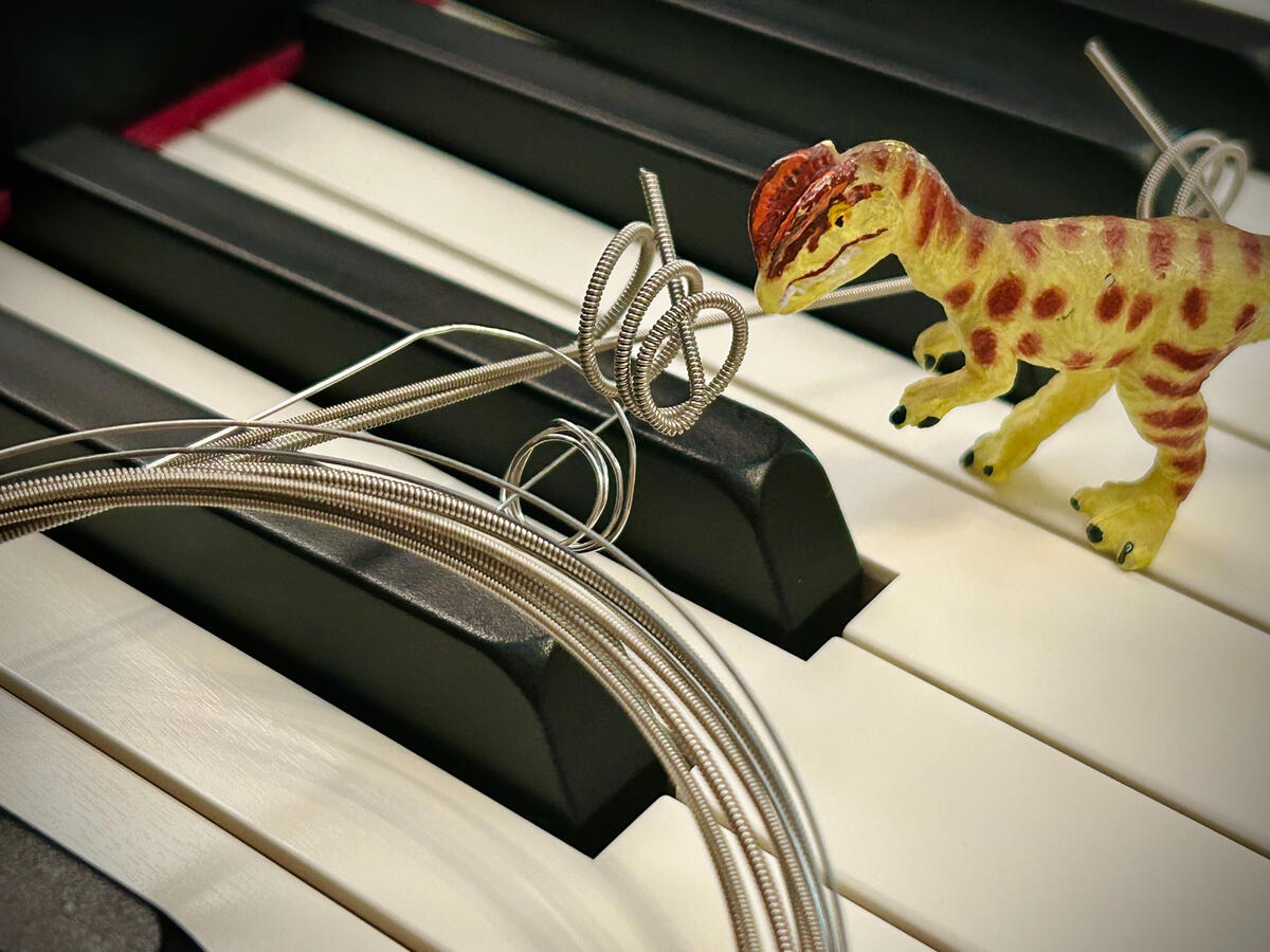 A green Dilophosaurus with brown spots stands on a piano keyboard and looks at three heavily worn piccolo bass strings as they prepare to restring their instrument (not pictured here).